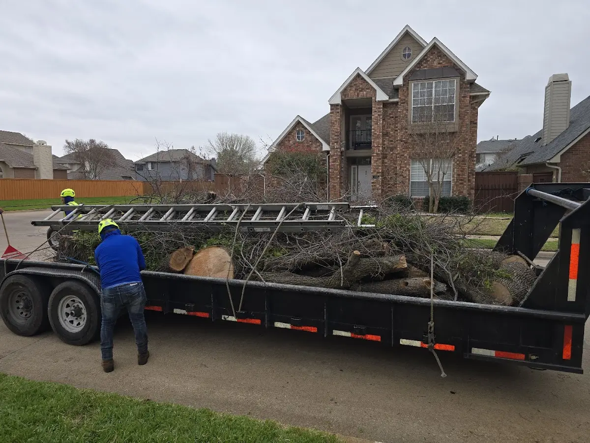 Expert Tree Fertilization with proper safety equipment in Chadwicks
